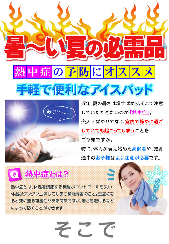 Eco&Coolアイスパッド商品説明