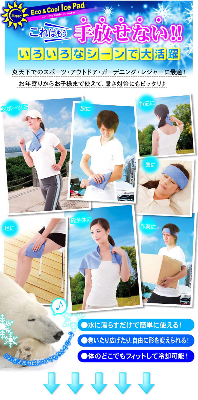 Eco&Coolアイスパッド商品説明